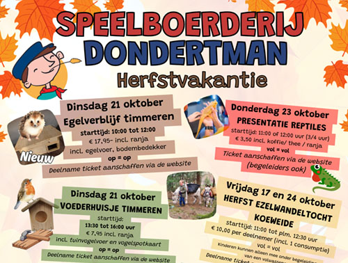 activiteiten